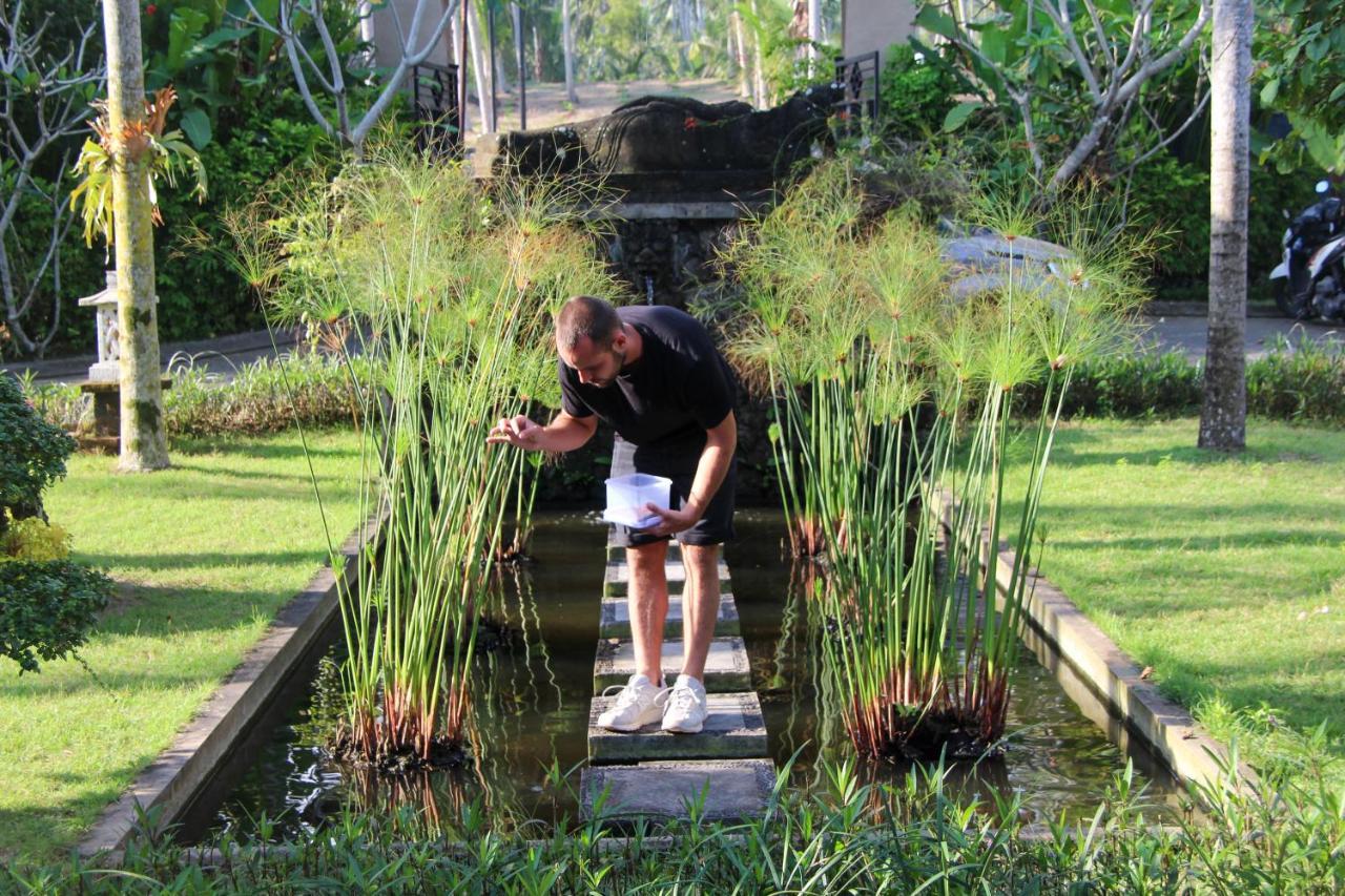 Bali Hai Island Resort Pekutatan  Экстерьер фото